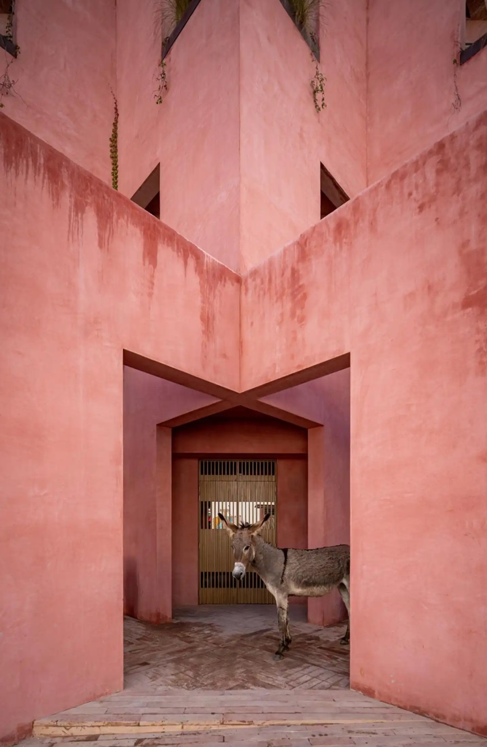 laiva plaza hotel_casa indonesia