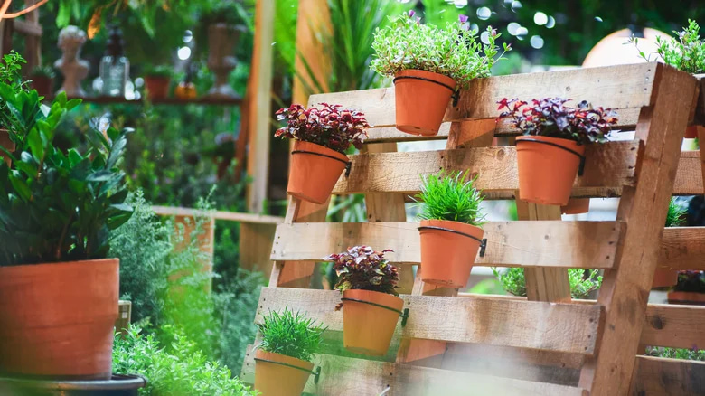 cara menata bunga di teras rumah sederhana