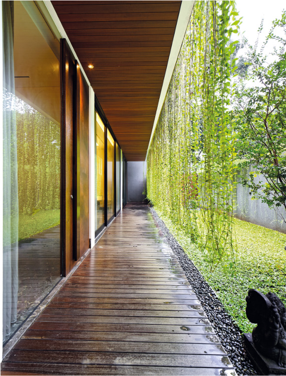 teras minimalis dengan vertical garden