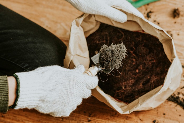 cara membuat kompos dari sampah dapur