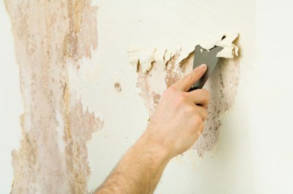 Membersihkan dinding dari bekas cat