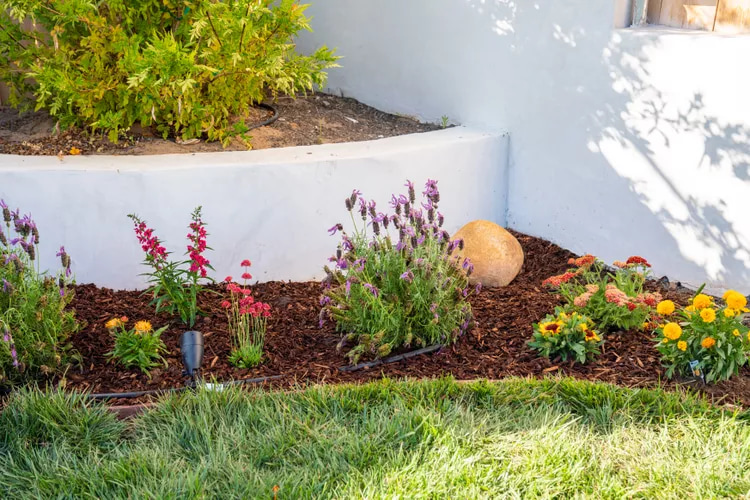 cara menata bunga di teras rumah sederhana