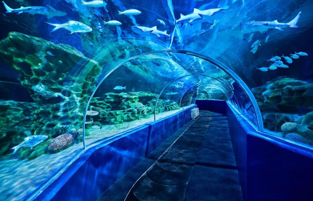 akuarium raksasa pertama di india telah resmi dibuka