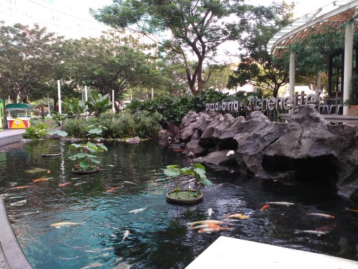 kolam di taman tribeca