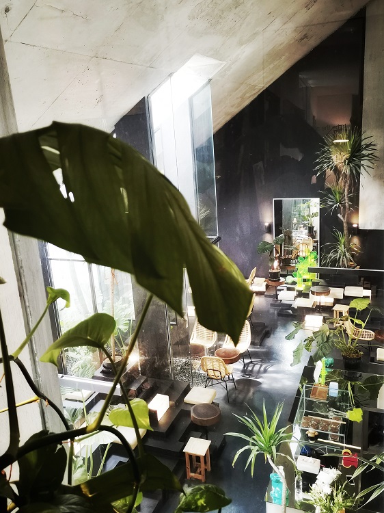 Ruang Kreatif Bernuansa Alam di Jakarta Barat