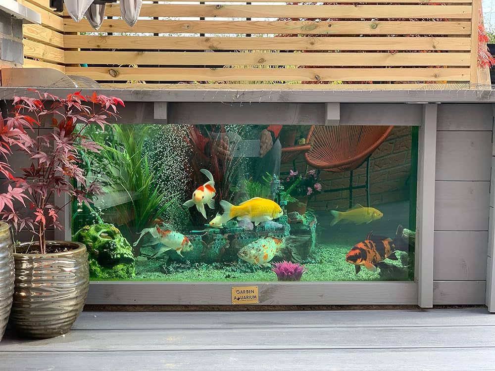 kolam ikan minimalis di lahan sempit