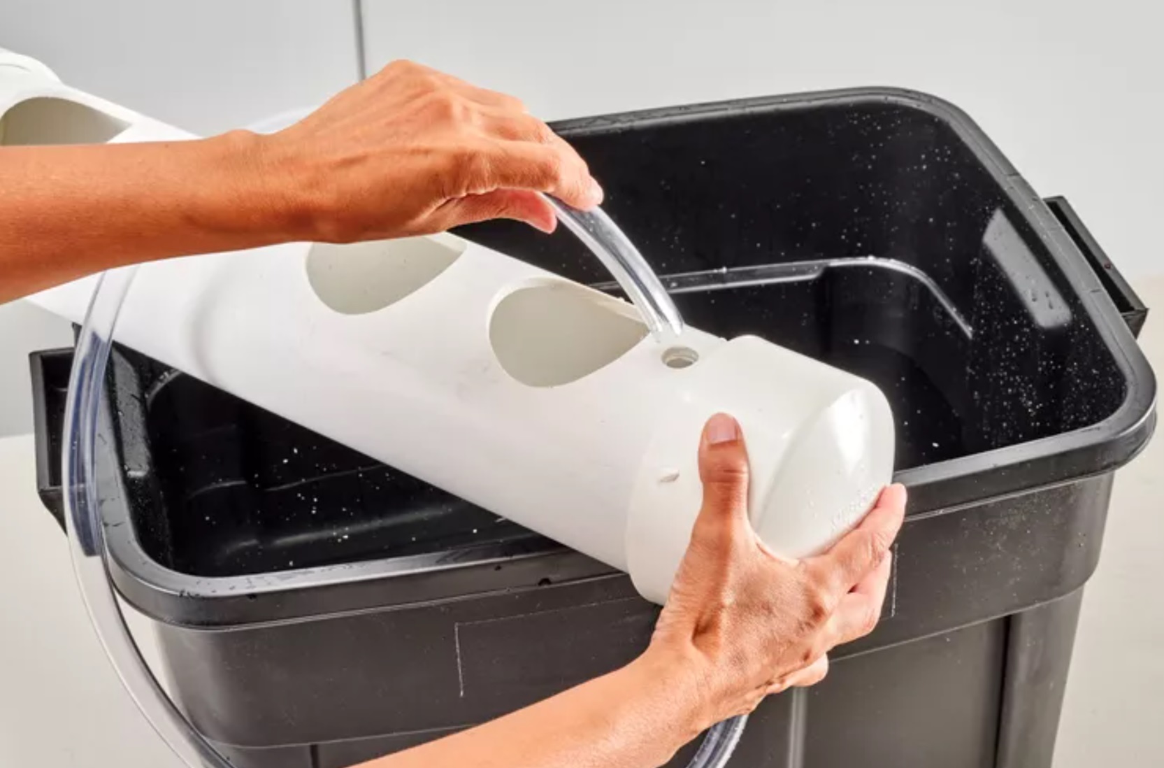 contoh tanaman hidroponik