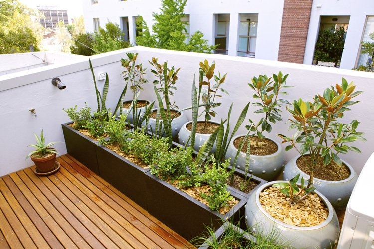 10 Tips Membuat Rooftop Garden Lengkap dengan Gambar CASA Indonesia