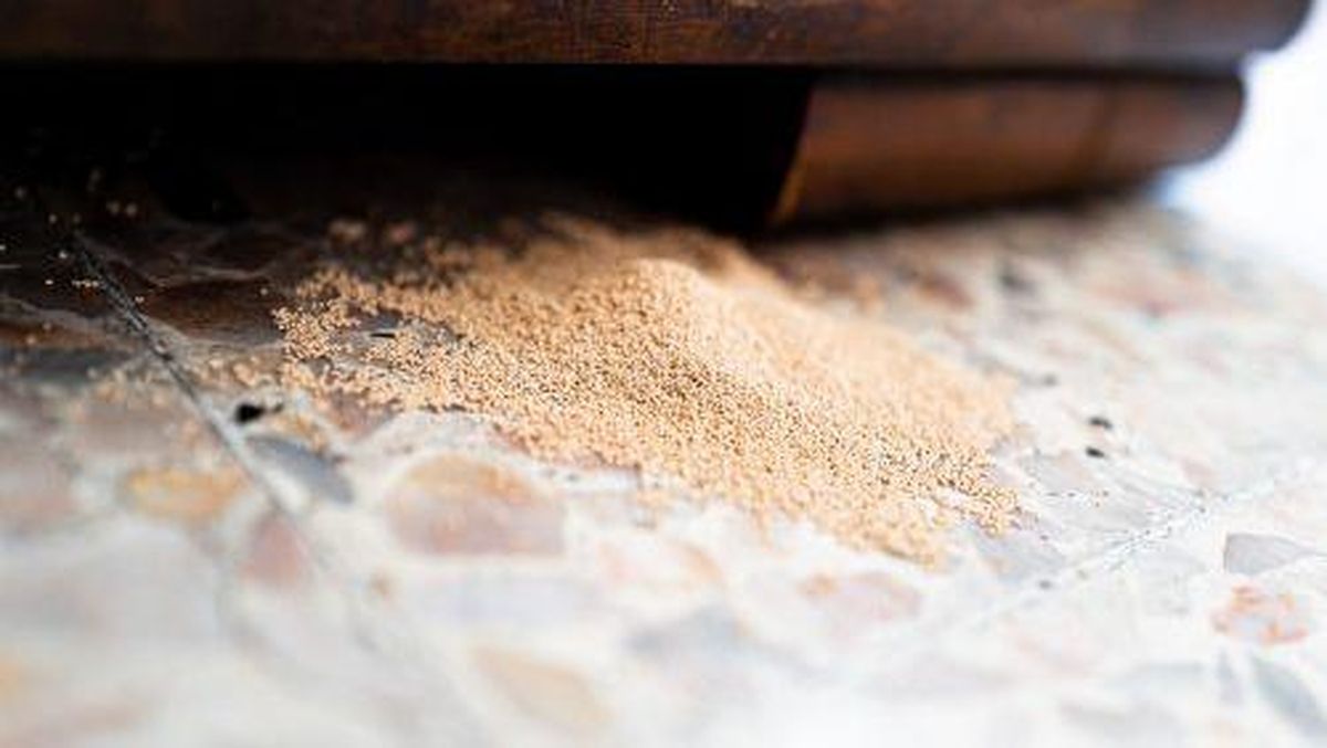 cara menghilangkan bubuk kayu secara alami