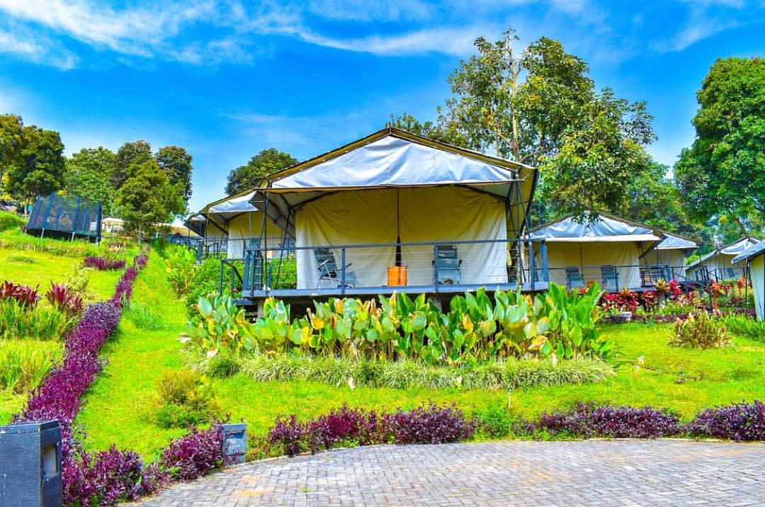 rekomendasi tempat glamping terbaik di jawa barat