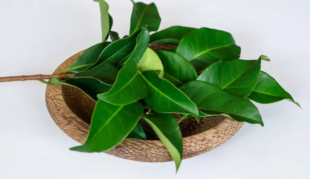 cara menghilangkan bubuk kayu secara alami