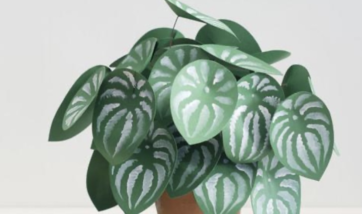 tanaman yang aman untuk hewan