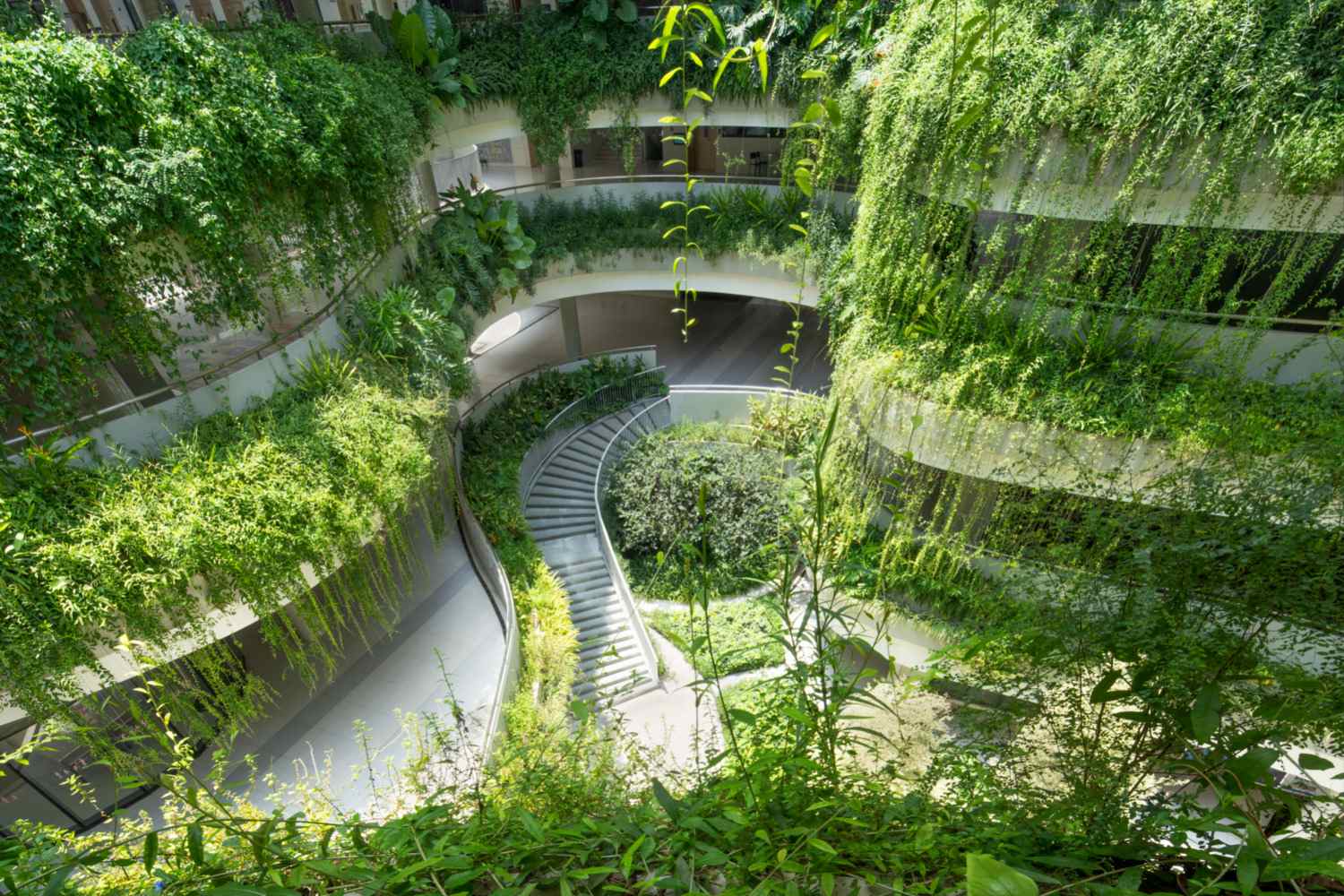 Sekolah di Shenzhen Ini Satukan Alam dan Edukasi Modern