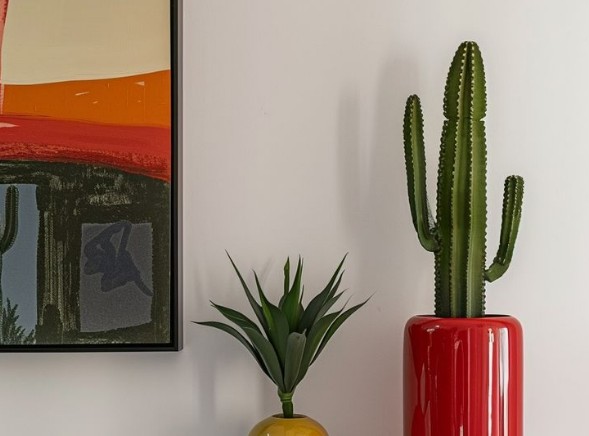 Manfaat Tanaman Kaktus dan Cara Merawatnya di Rumah