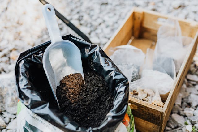 Cara Membuat Kompos dari Sampah Dapur, Bisa Lakukan Di Rumah