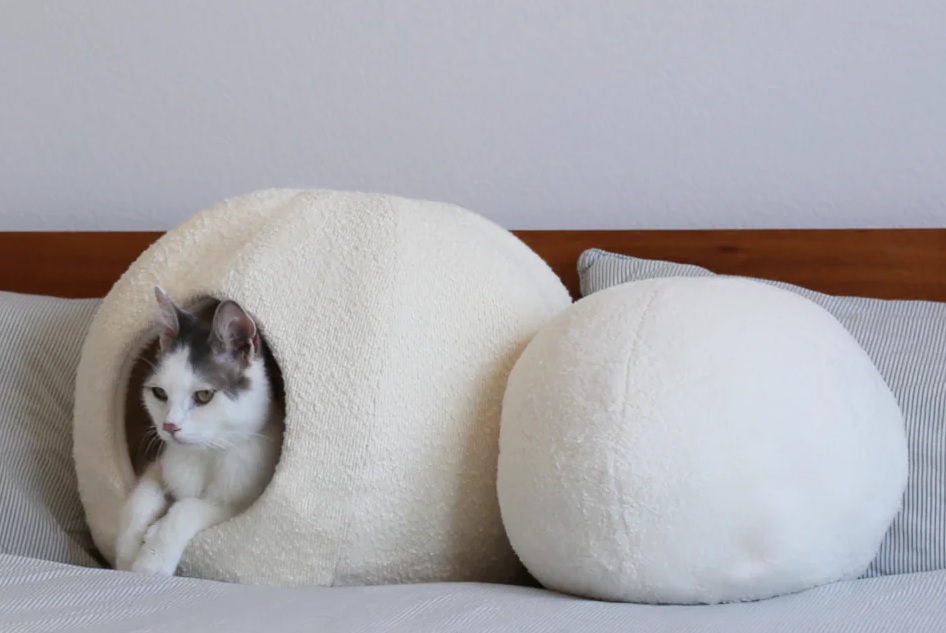 Tips Tempat Tidur Kucing yang Nyaman untuk Kebersihan Rumah