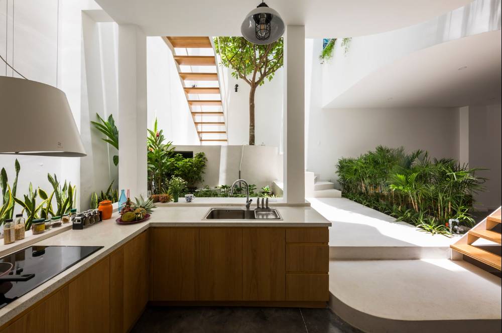 10 Rumah Modern dengan Pohon Hidup Indoor, Inspiratif!