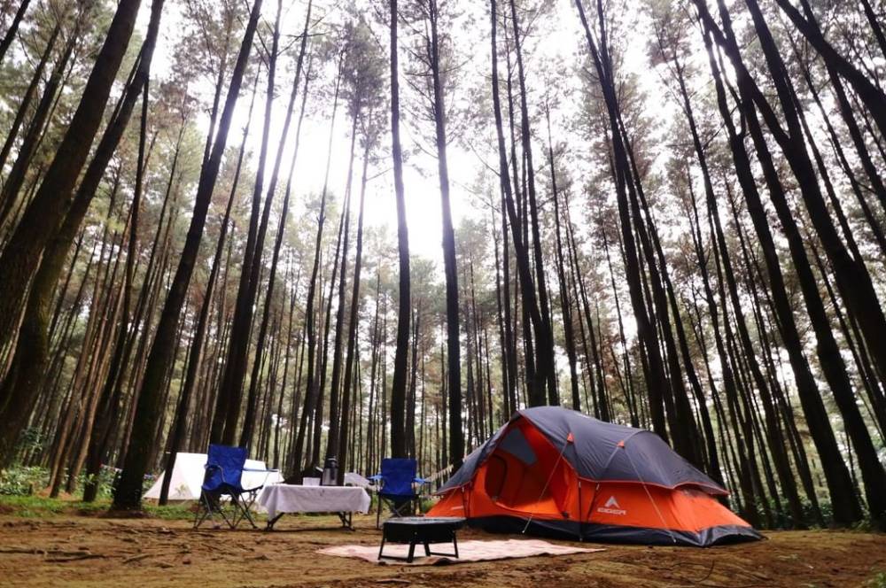 11 Tempat Camping di Bogor Buat Berkemah Bareng Keluarga