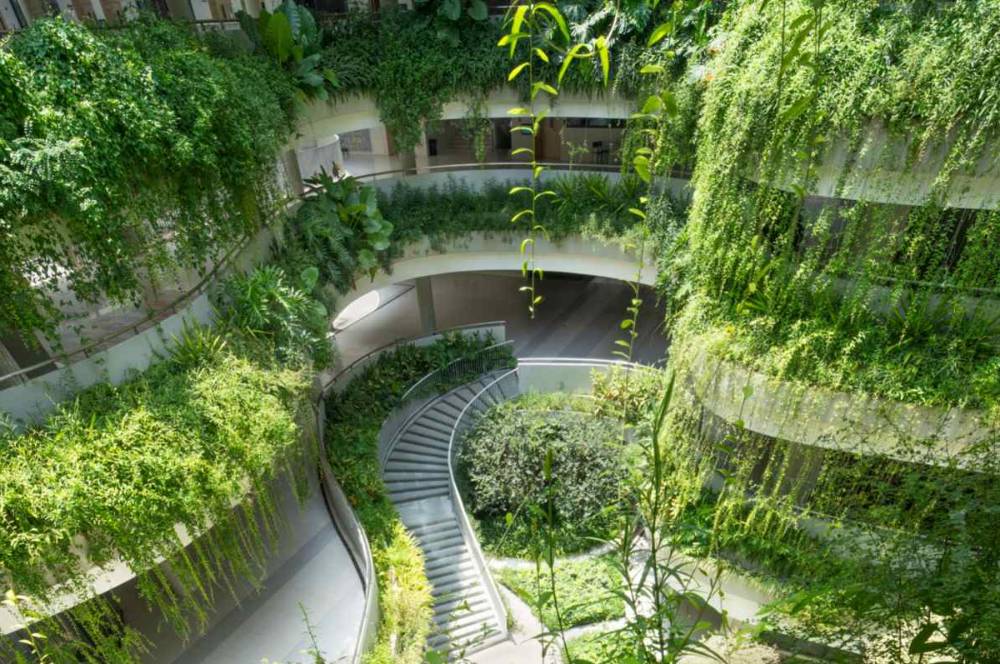 Sekolah di Shenzhen Ini Satukan Alam dan Edukasi Modern