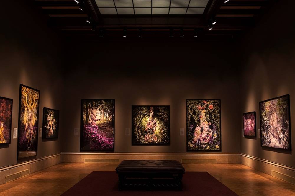 Apa Tujuan Pameran Seni Rupa? Ini Penjelasan Lengkapnya