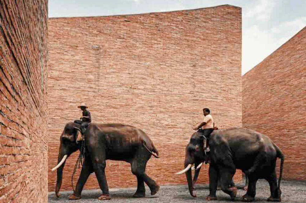 Arsitek asal Thailand Kembalikan Gajah ke Pusat Kehidupan 
