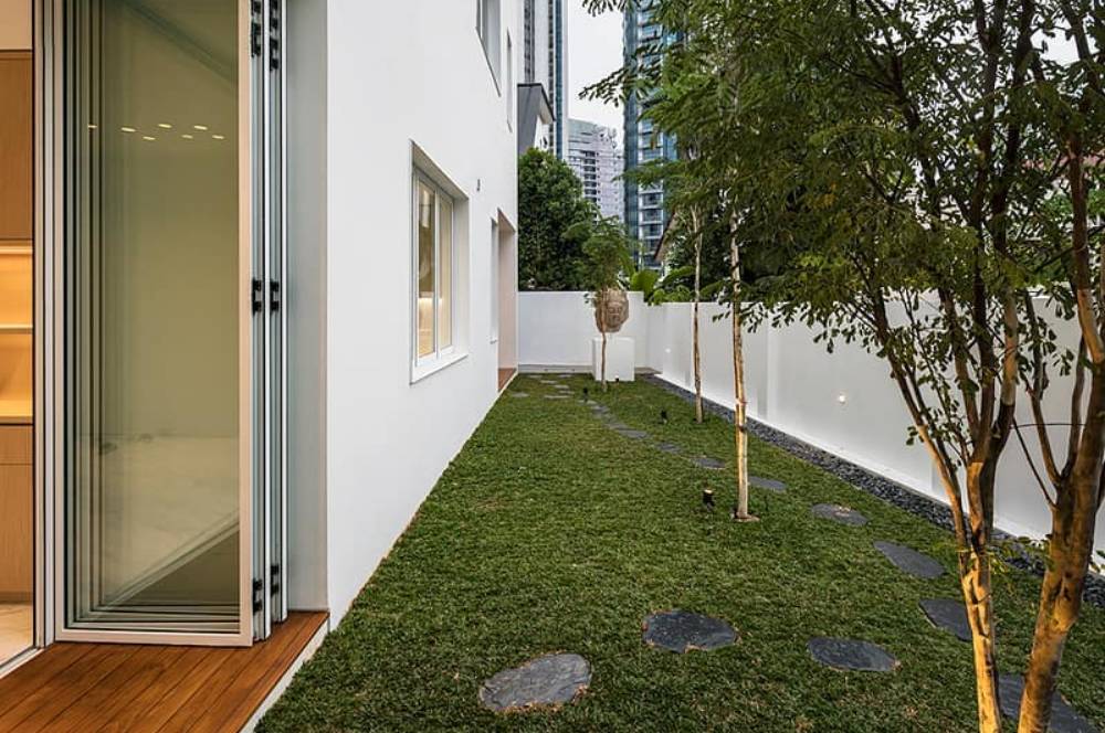 Rumput Jepang VS Rumput Gajah Mini, Mana Yang Paling Cocok?