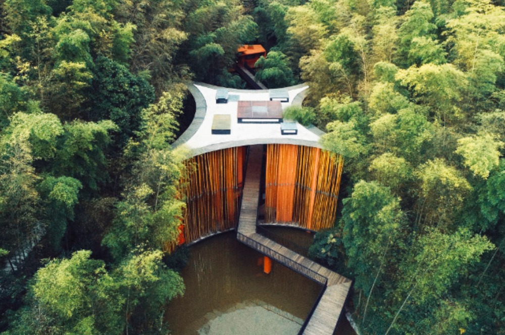 Nikmati Keindahan Lautan Bambu di Zhuhai National Park