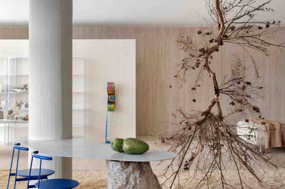 Ubin Portinari Jadi Transformasi Ruang di Conjunto Nacion