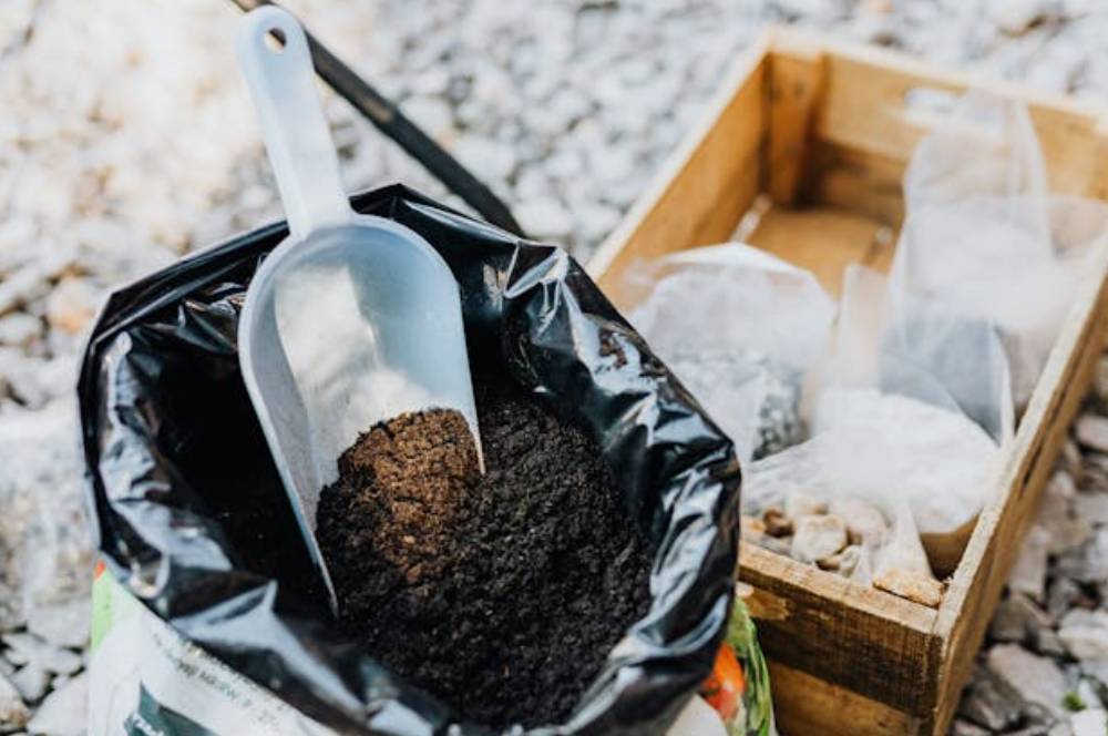 Cara Membuat Kompos dari Sampah Dapur, Bisa Lakukan Di Rumah