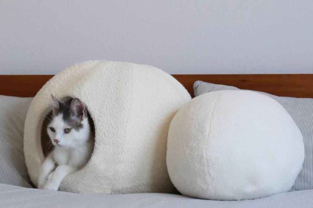 Tips Tempat Tidur Kucing yang Nyaman untuk Kebersihan Rumah