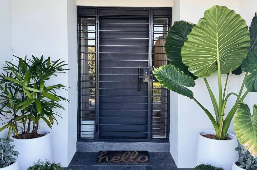 10 Jenis Tanaman Pot Besar Depan Rumah Terkini!