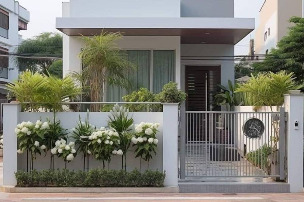 Tanaman Pagar Tahan Panas yang Bikin Rumah Adem dan Estetis 