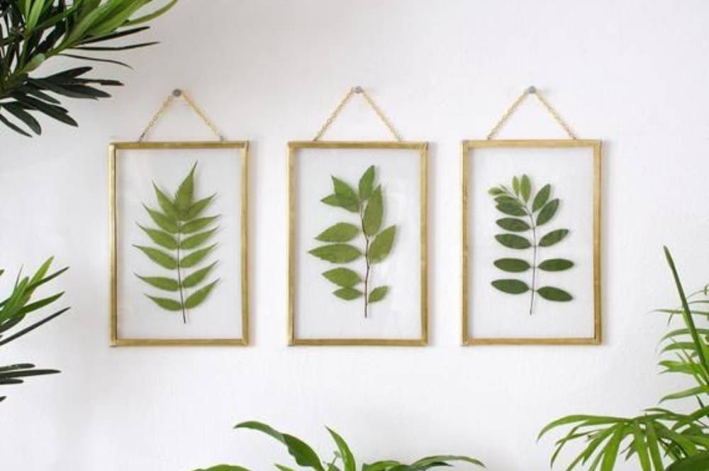Hiasan Dinding dari Daun Kering, Sentuhan Alam di Rumah