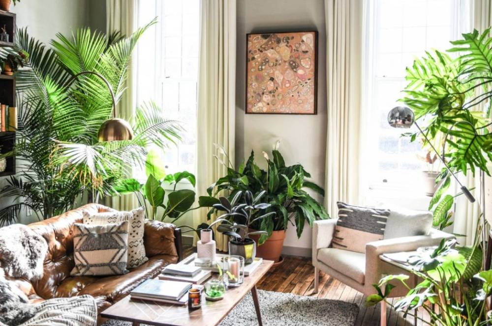 6 Aturan Menata Tanaman Buat Ruang Tamu Lebih Cantik