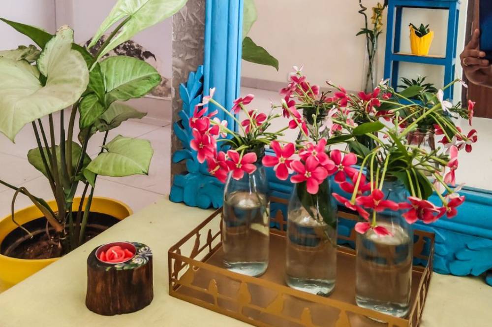 Cantik dan Fresh! 7 Penempatan Nama Bunga Aesthetic di Rumah
