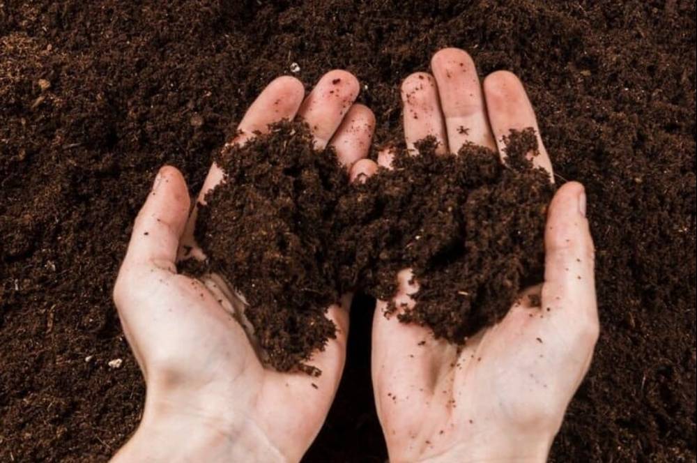 Mengenal 5 Jenis Tanah dan Karakteristiknya