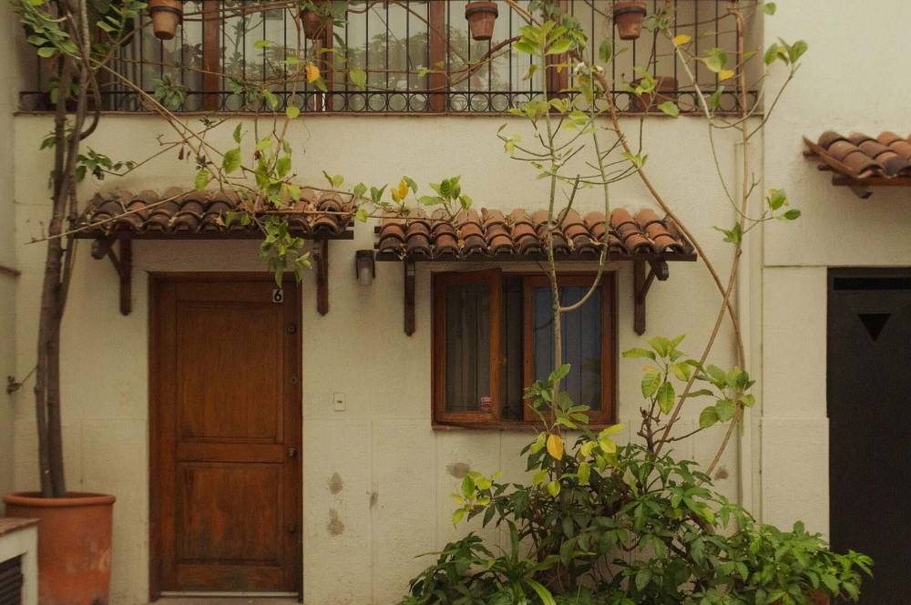 Jangan Salah Pilih! 8 Tanaman Depan Rumah Bawa Hoki