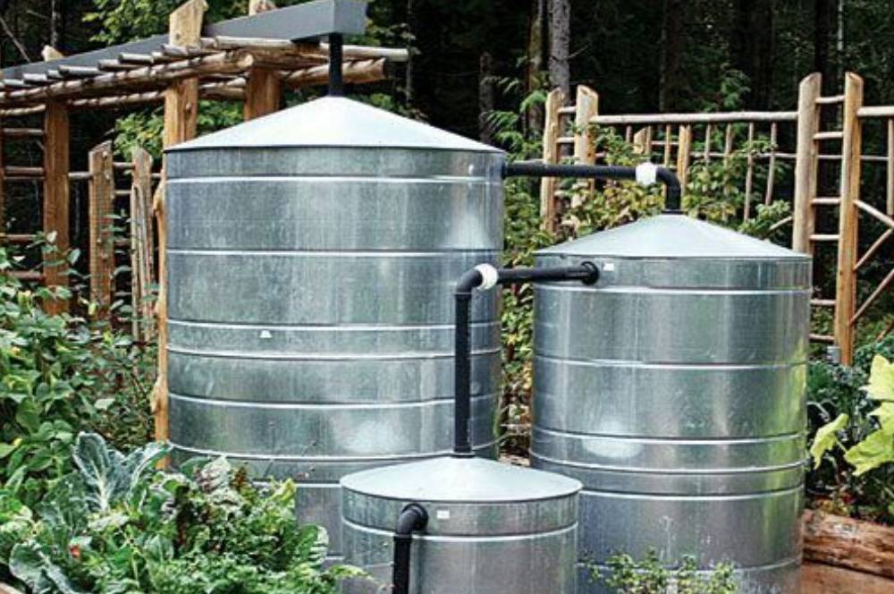 Mengenal Rainwater Harvesting: Buat Air Hujan Berguna