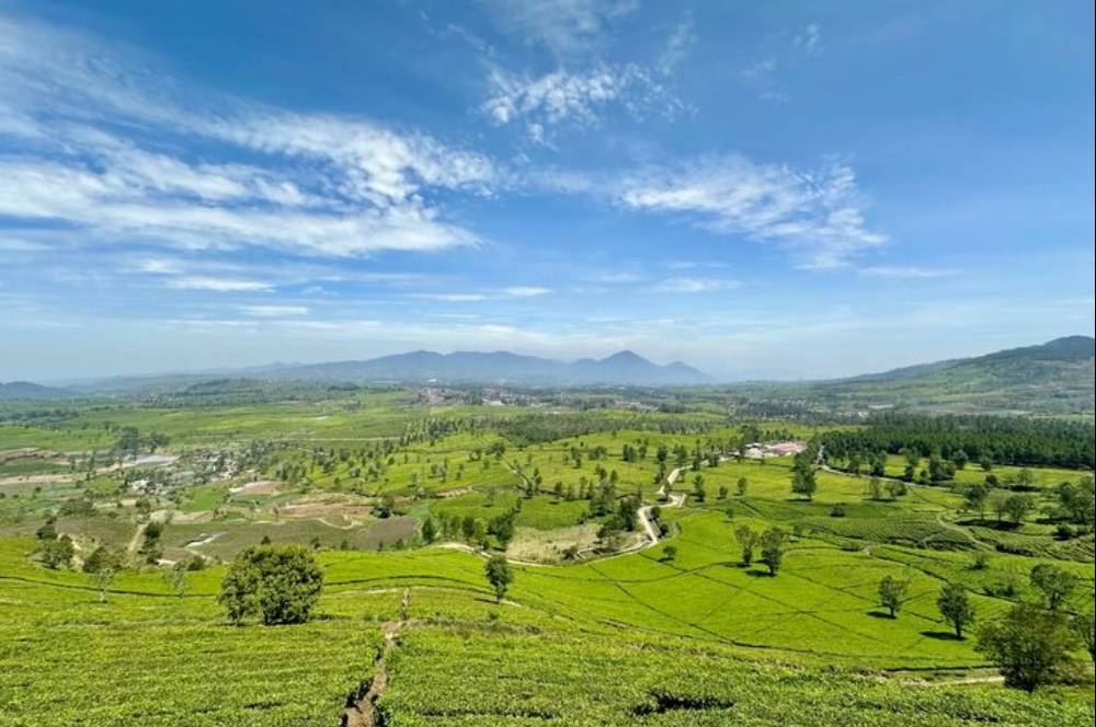 7 Tempat Wisata Pangalengan yang Lagi Ramai Diburu Traveler