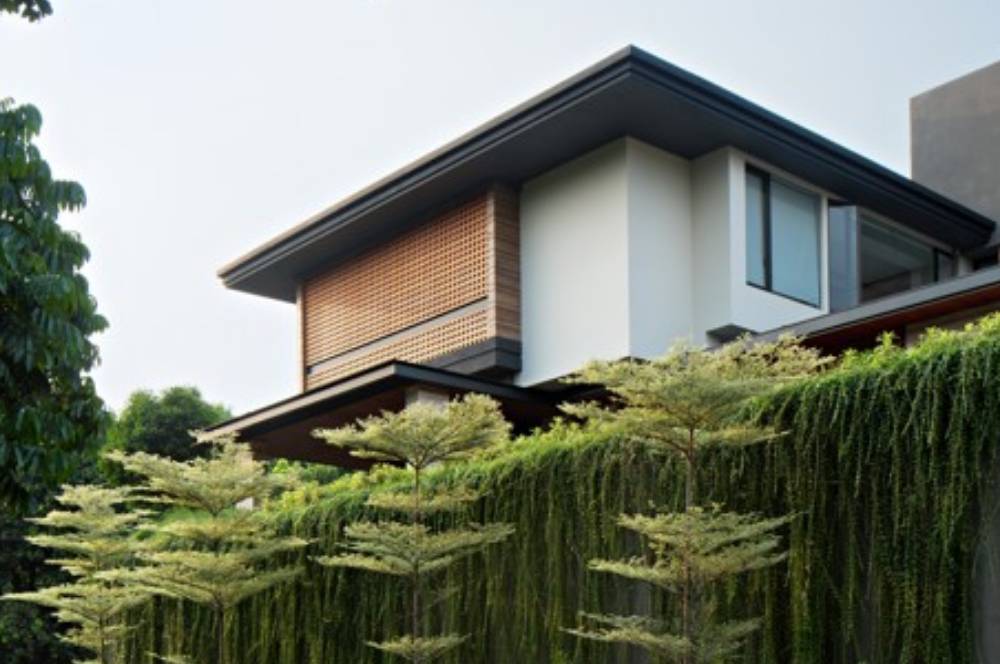 Jangan Ketinggalan! 7 Ide Vertical Garden Hemat Ruang