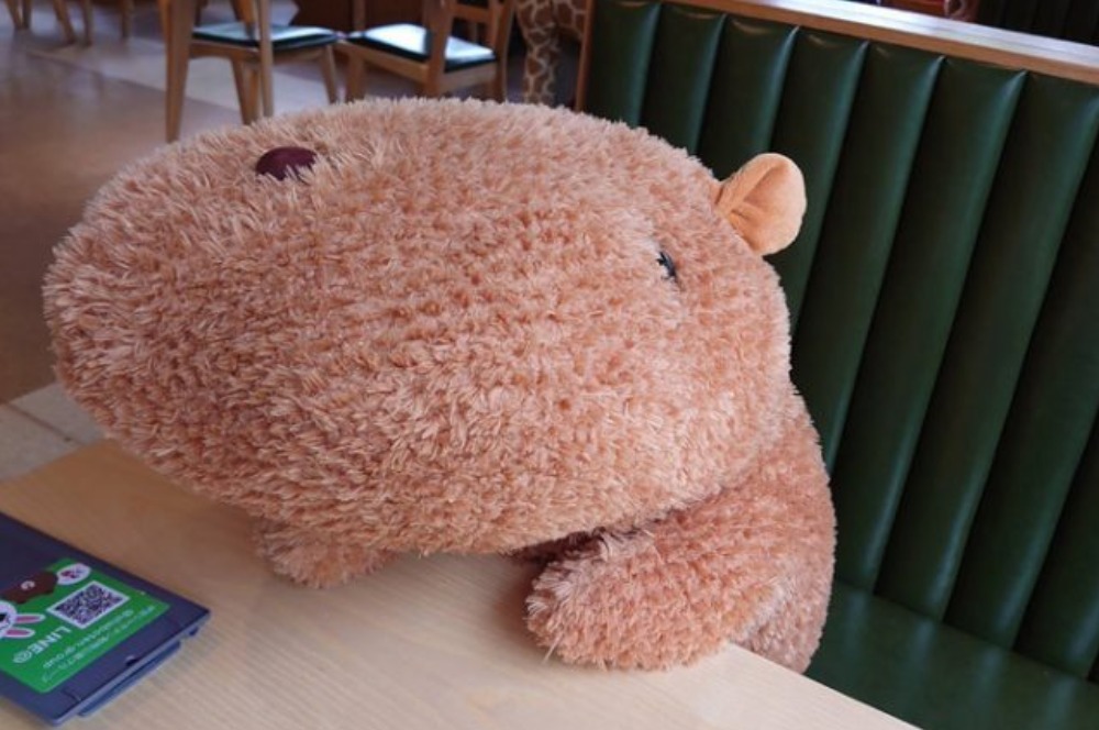 Saatnya Makan Siang Bersama Capybara, Mau Coba? 