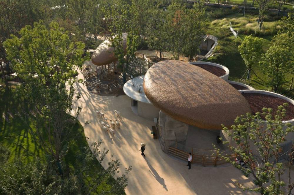 Sulit Dipercaya! Ada Peternakan Cozy di Tengah Kota Wuhan