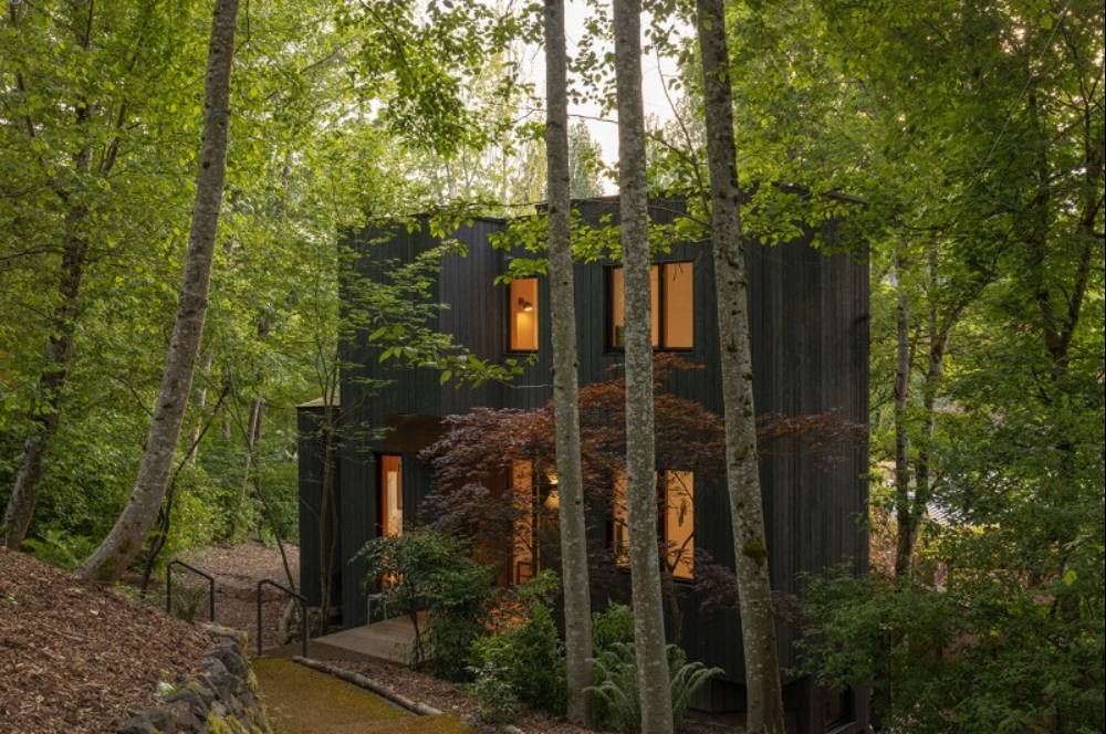 Elok! Rumah 90-an di Seattle Dirombak Jadi Hunian Dekat Alam