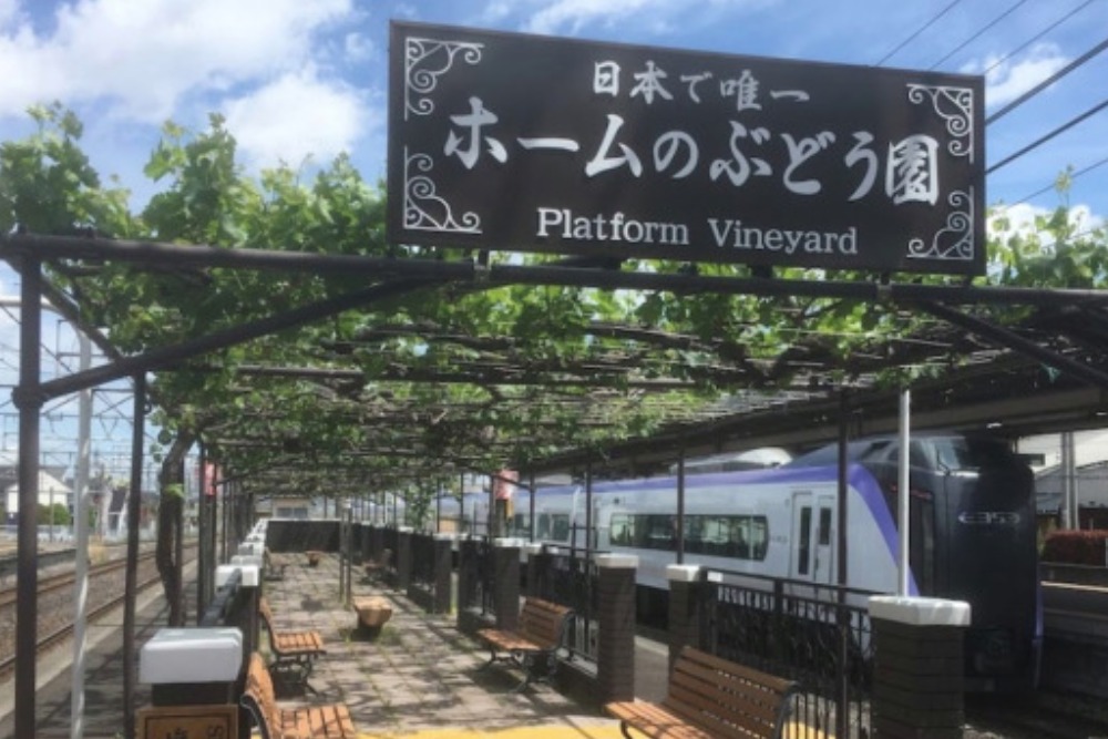 Unik! Stasiun Kereta Jepang ini Dihiasi Kebun Anggur