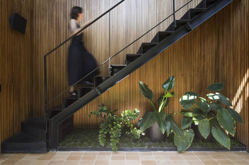 Memahami Jenis Taman Dalam Rumah dan Inspirasi Desainnya!