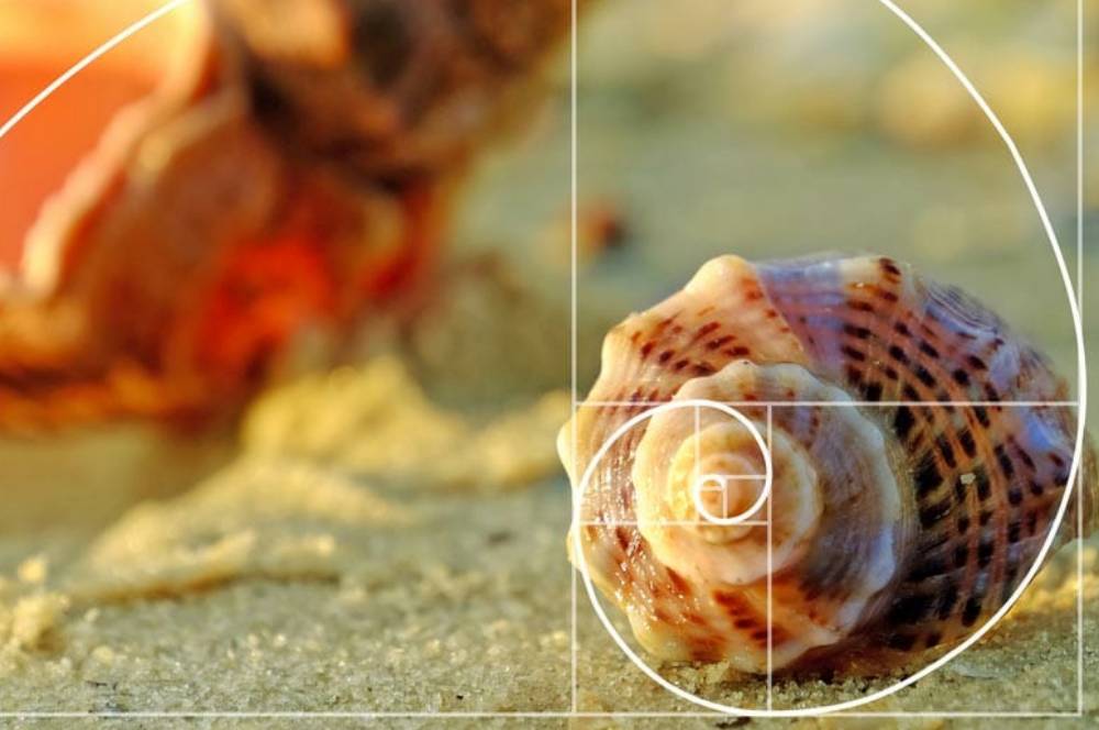 Apa Itu Golden Ratio? Rumus di Balik Arsitektur yang Indah