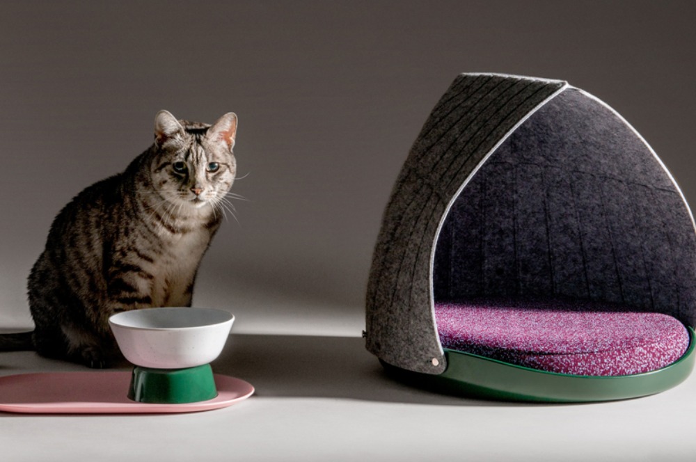 Furnitur Ini Membuat Anda dan Kucing Nyaman #DiRumahAja