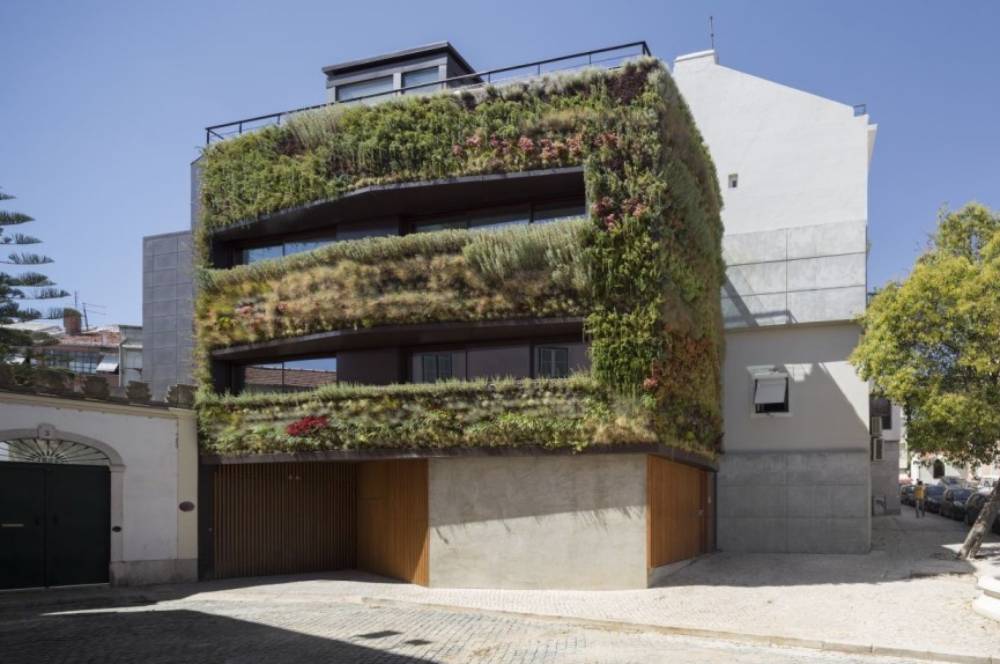 Memahami Konsep Vertical Garden Outdoor: Manfaat & Desain!