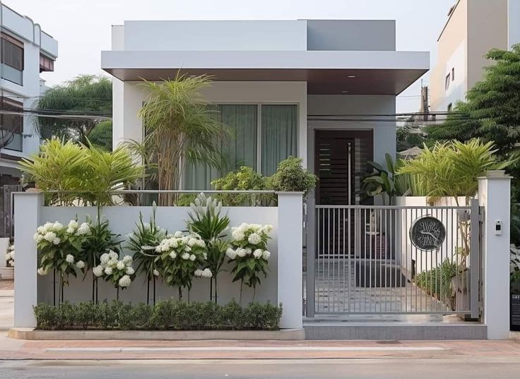 Tanaman Pagar Tahan Panas yang Bikin Rumah Adem dan Estetis 
