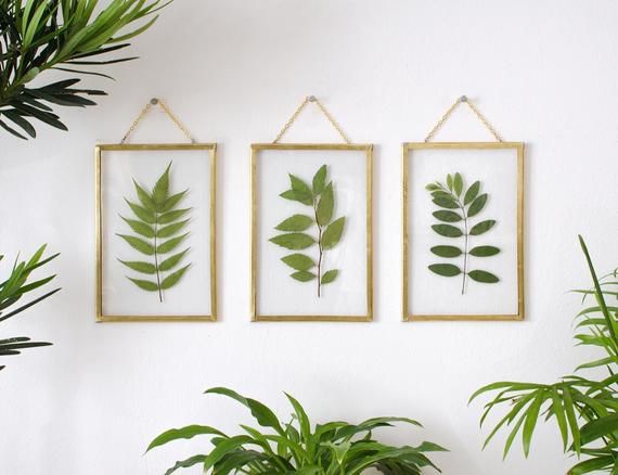 Hiasan Dinding dari Daun Kering, Sentuhan Alam di Rumah